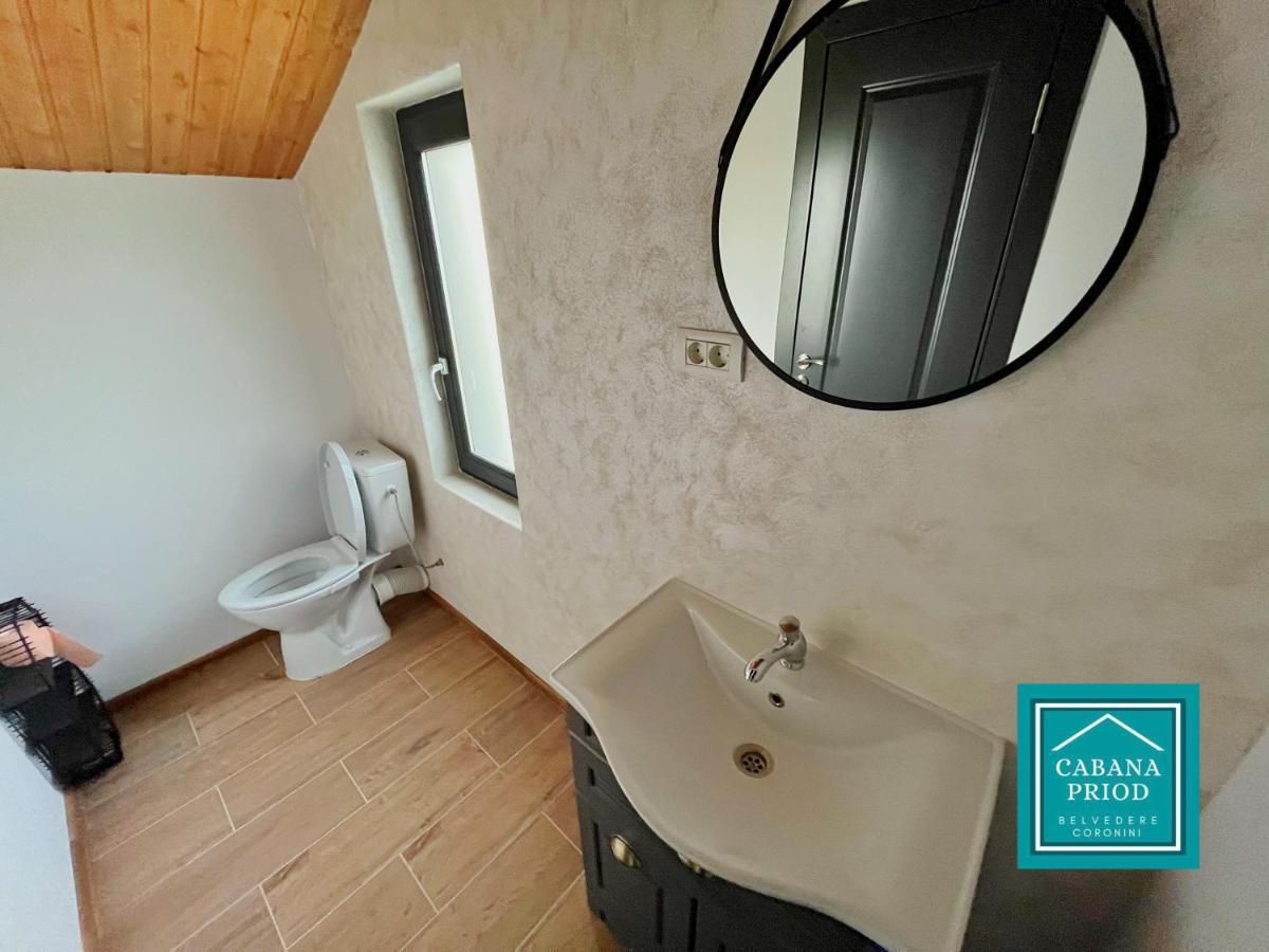 Cabana Priod Coronini Pescari Buitenkant foto