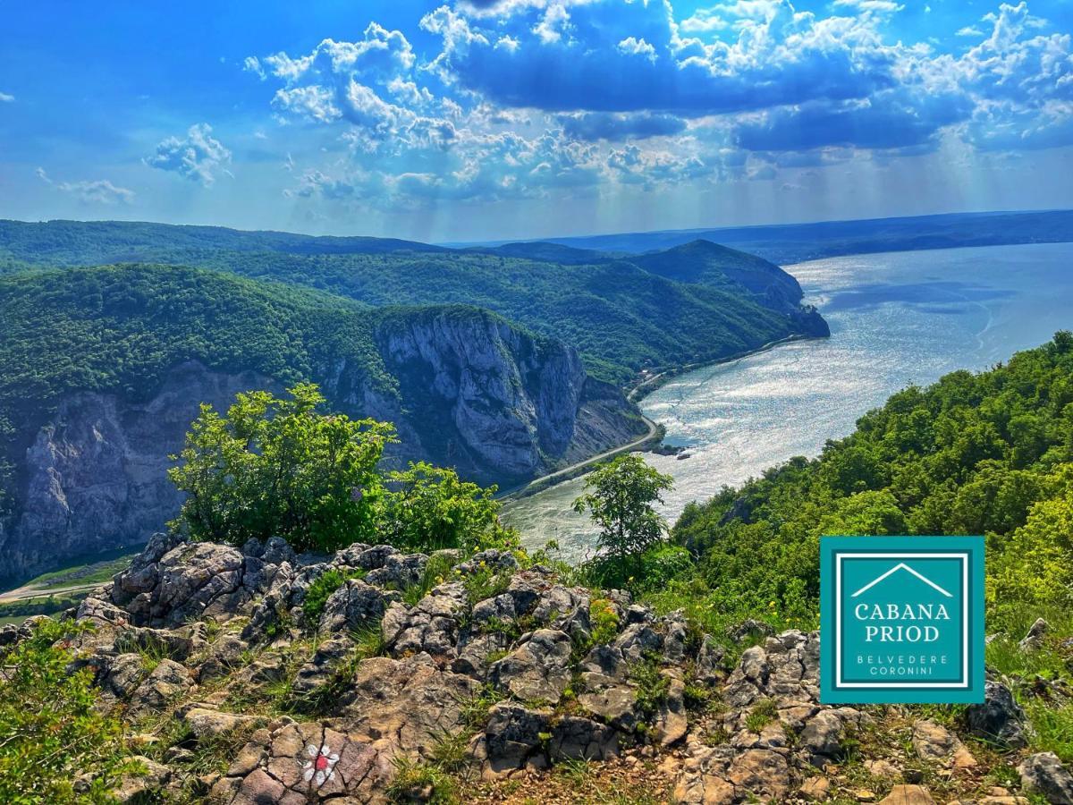 Cabana Priod Coronini Pescari Buitenkant foto