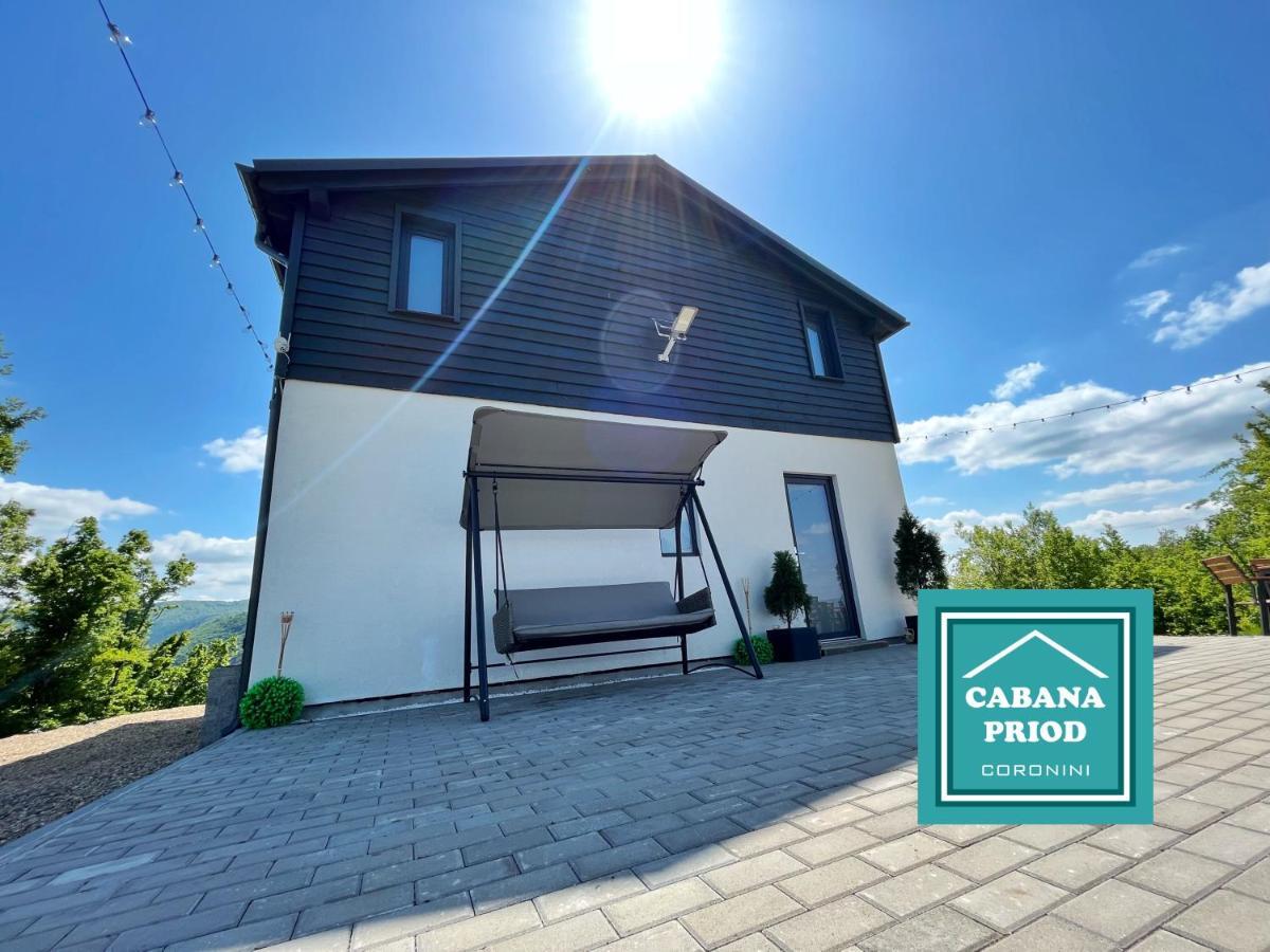 Cabana Priod Coronini Pescari Buitenkant foto