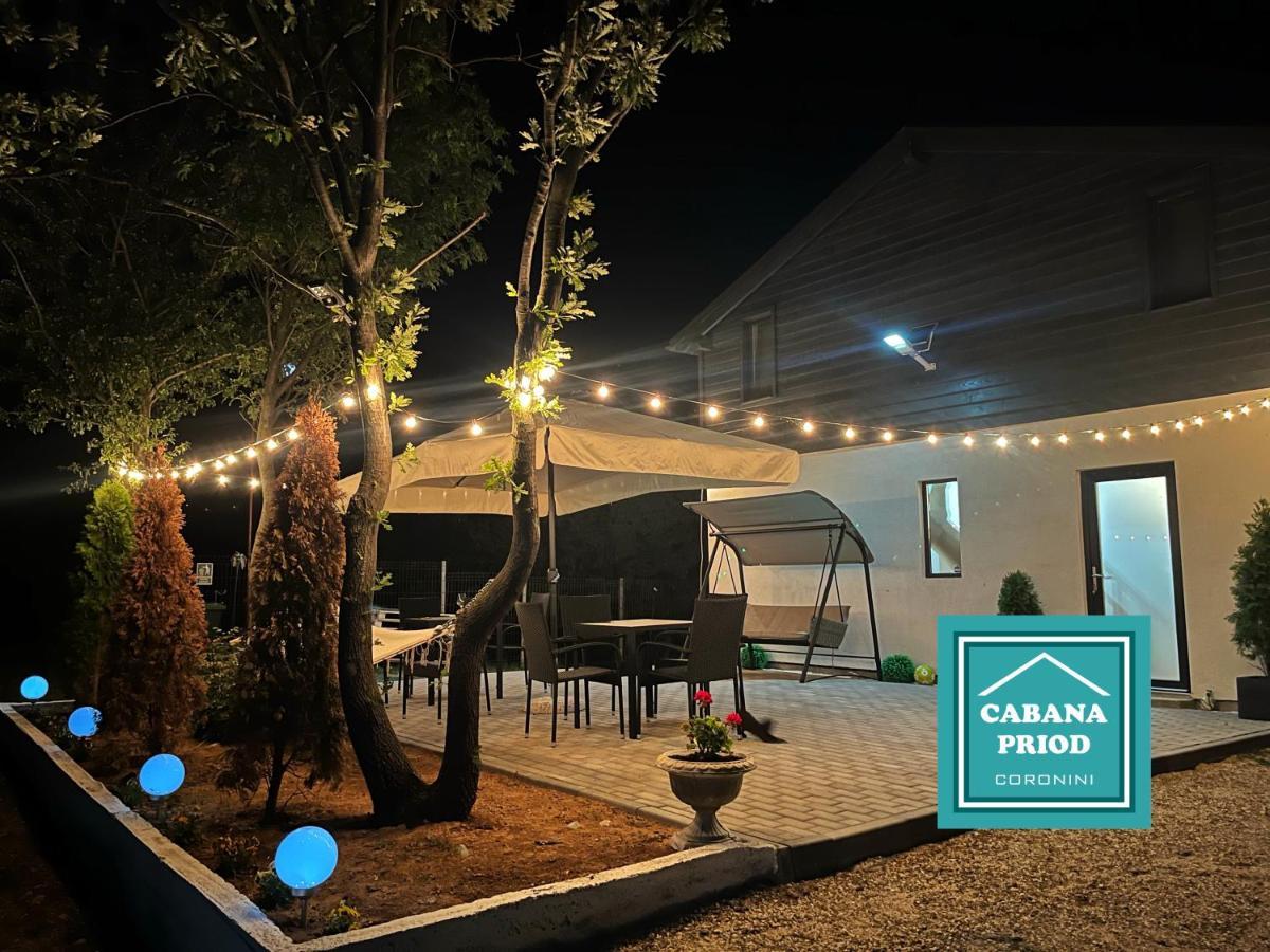 Cabana Priod Coronini Pescari Buitenkant foto