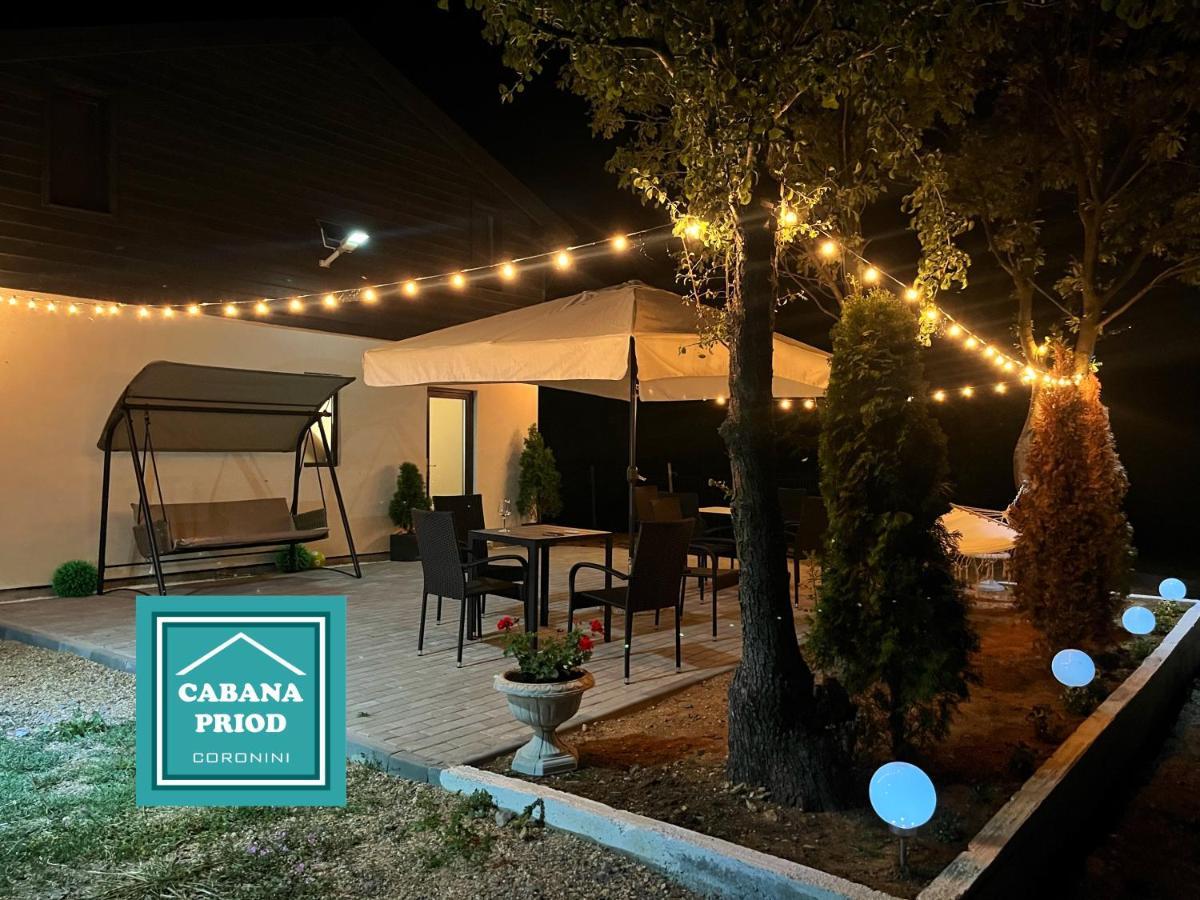 Cabana Priod Coronini Pescari Buitenkant foto