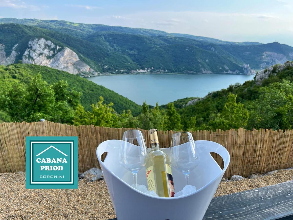 Cabana Priod Coronini Pescari Buitenkant foto