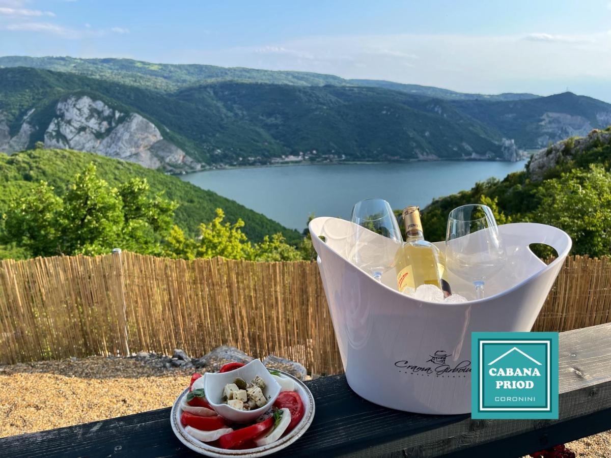 Cabana Priod Coronini Pescari Buitenkant foto