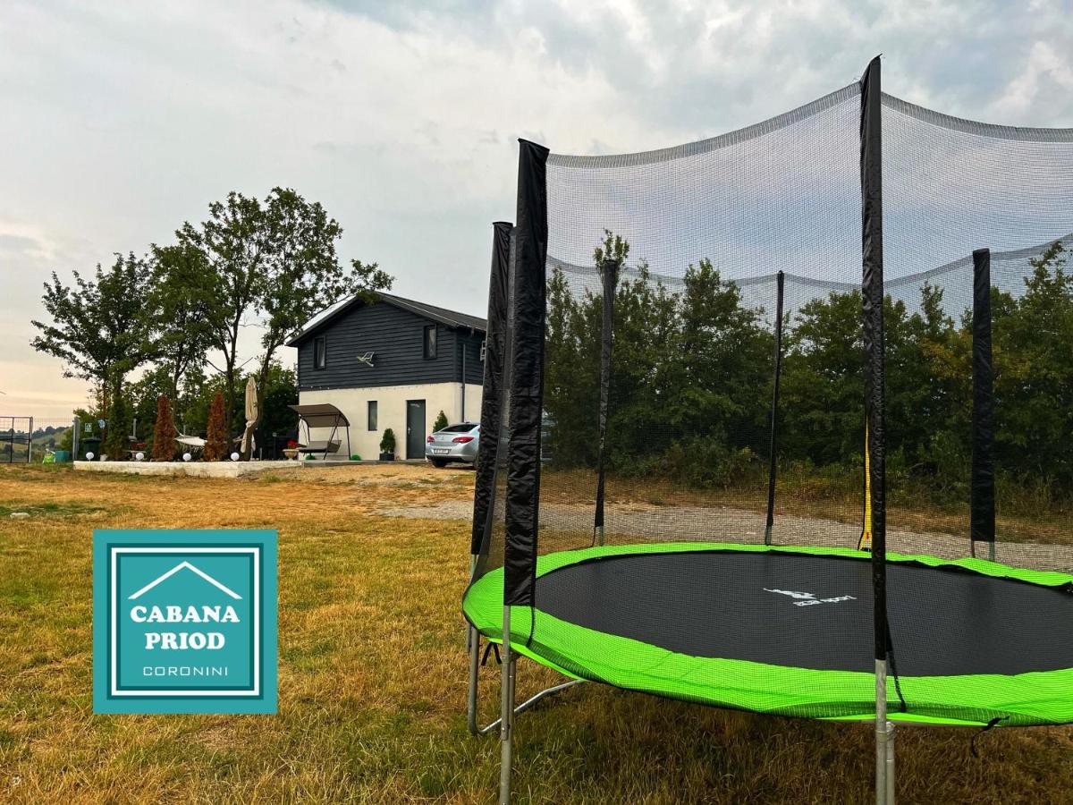 Cabana Priod Coronini Pescari Buitenkant foto