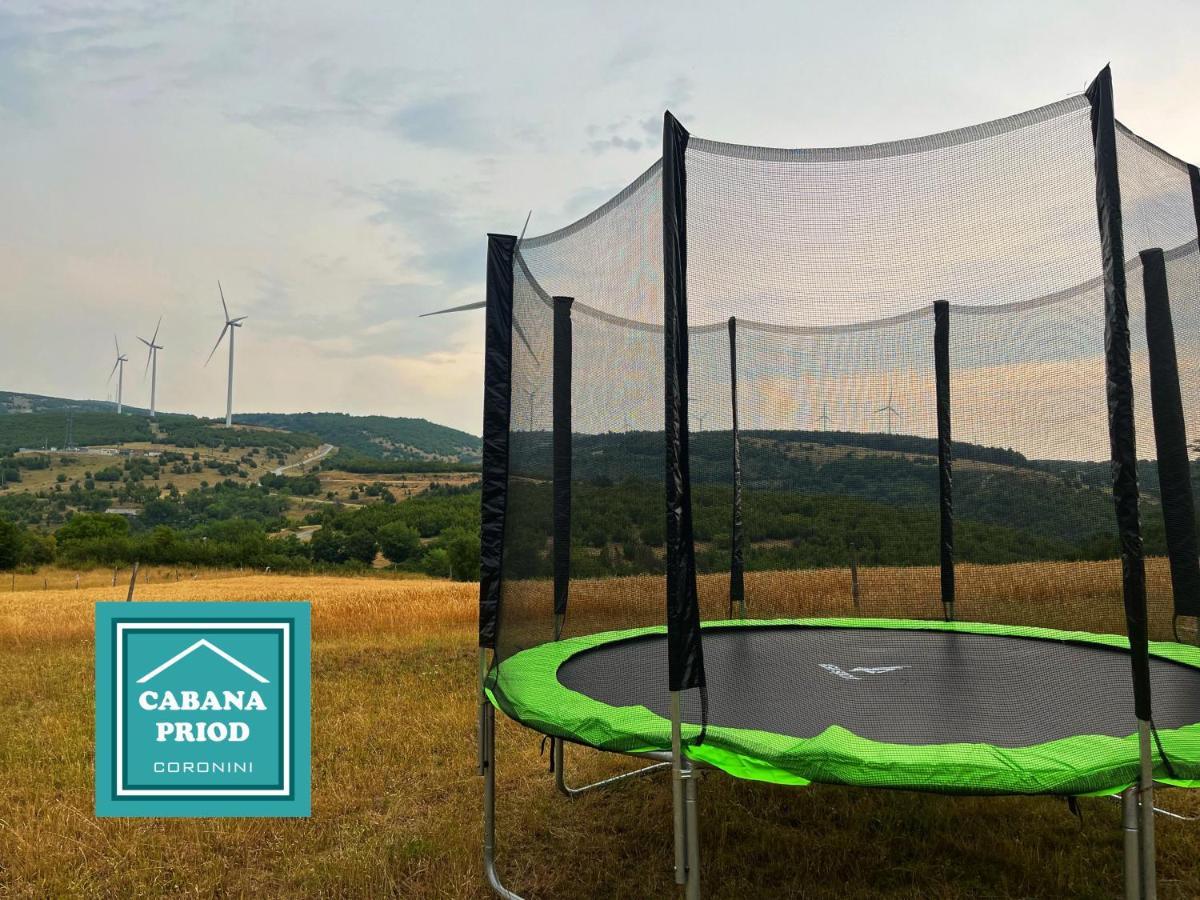 Cabana Priod Coronini Pescari Buitenkant foto