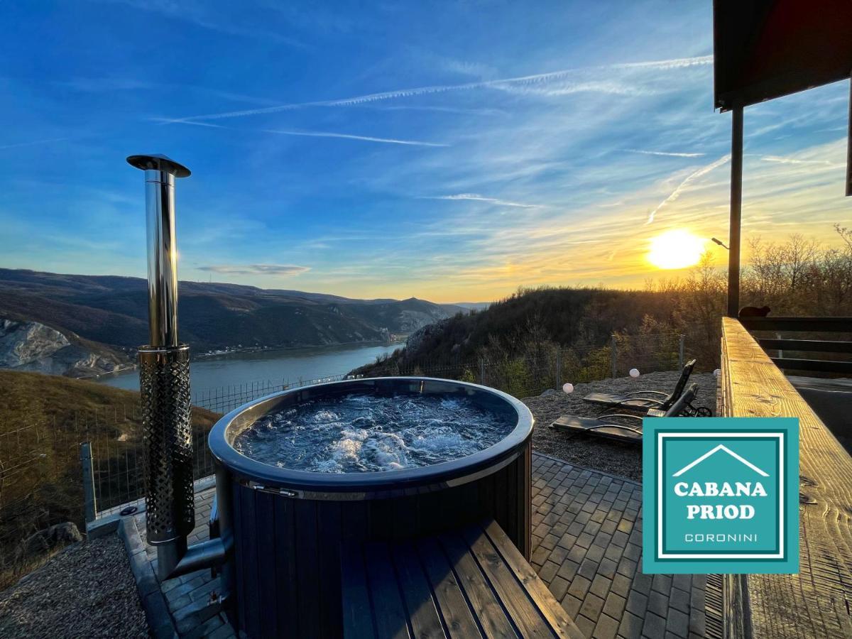 Cabana Priod Coronini Pescari Buitenkant foto